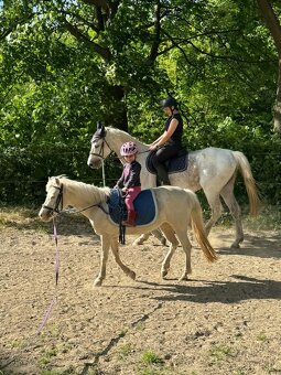 Ustájení koní - 10