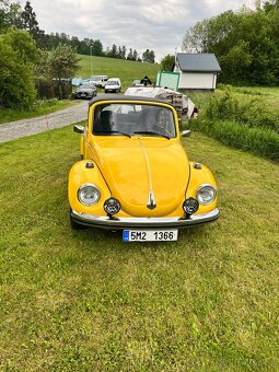 Wwbrouk - 10