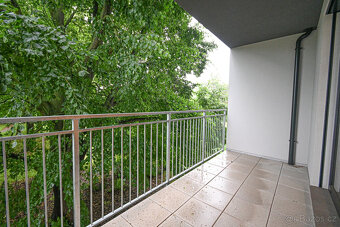 Pronájem bytu 1+kk, Wágnerova, Maloměřice, 43 m2 - 10