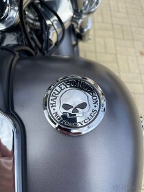 Harley Davidson FXSB Softail Breakout - 10