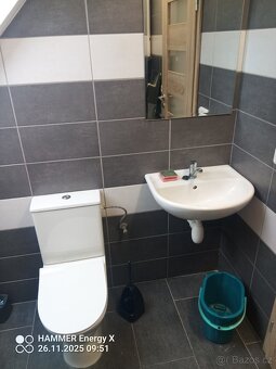 Pronájem podkrovního bytu 2 kk - 10