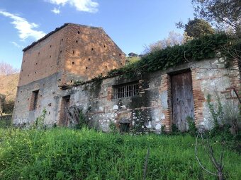Prodej usedlosti 128 m2, pozemky 2.158 m2, Pace Del Mela, Si - 10