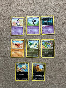 Pokémon TCG Evoluce - 10