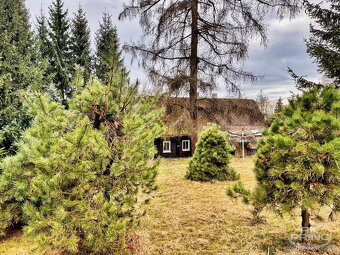Prodej chalupy na pozemku 2.386 m2, Krásná Lípa, část Vlčí H - 10