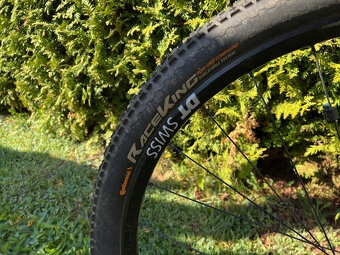 FOCUS Raven 8.8 AXS - 10