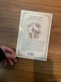 Knihy historie cebnice sesity - 10