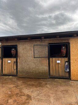 Ustájení koní Dolní Lánov - volný jeden box - 10