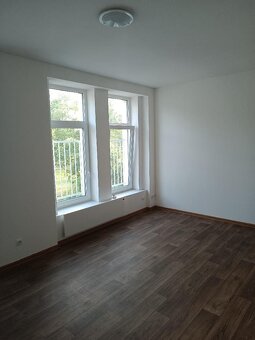 Pronájem bytu 1+KK - 10