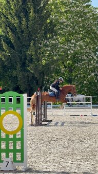 Pony kategorie B - 10