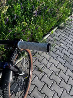 Specialized Rockhoper - 10