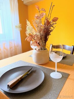 Rodinný dům ve Všemině - 10