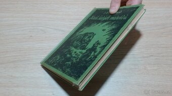 Curwood - Král šedých medvědů - 10