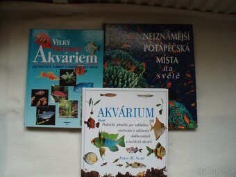 Papoušci, psi, ryby, akvárium - 10