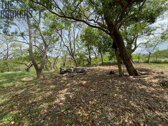 LOT 5 Bodden Bight Estate, Roatan - 10