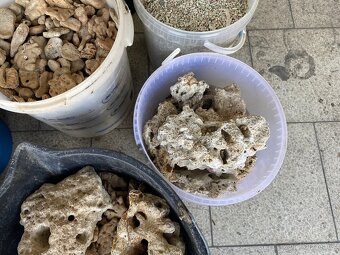 Mořské akvárium - 10