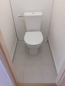 Pronajmu byt 3+1+2L v Čelákovicích - 10