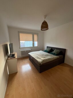 Pronájem bytu 1+1, 40 m2, Pardubice – Dubina. - 10