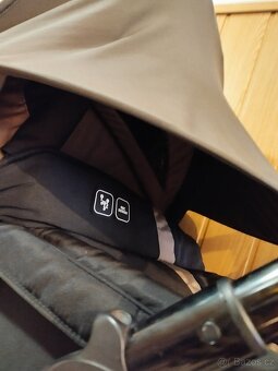 Sourozenecký kočár - 10