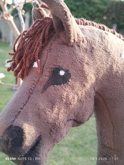 Hobby horse - 10