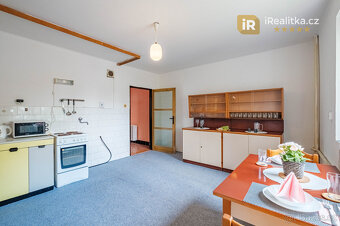 Prodej velkého domu s garáží a zahradou, 850 m2 - Tábor - 10