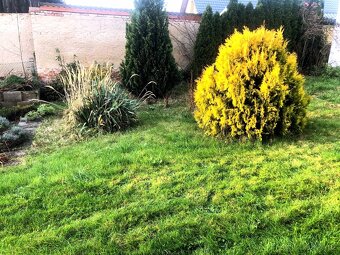 PRONÁJEM BYTU U MLADÉ BOLESLAVI - 10