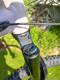 Specialized status 2021 vel. S4 (L) - 10