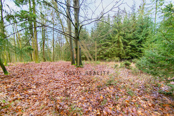 Prodej, les, 7475 m², Chudenice, Chudenický Žďár - 10