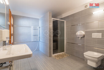 Prodej hotelu, penzionu, 300 m², Malý Ratmírov - 10