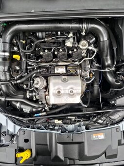 Ford Focus - 10