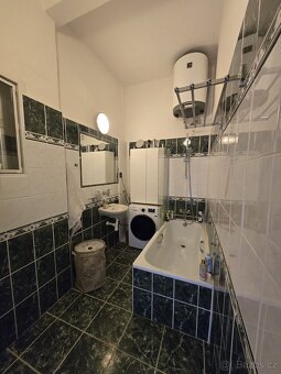 Pronájem bytu 2+kk s terasou - 45m2, Palmovka - 10