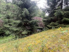 Prodej chalupy -  Podhora u Pěnčína - 10