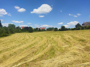 Prodám stavební pozemek 1500m2 pro stavbu RD Horní Bludovice - 10