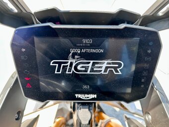 Triumph Tiger 900 Rally - 10