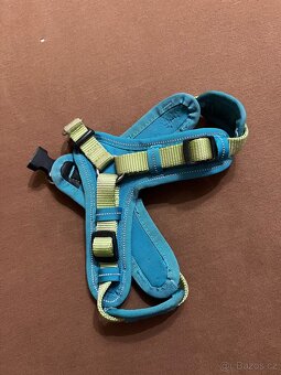 Obojky, postroj - 10