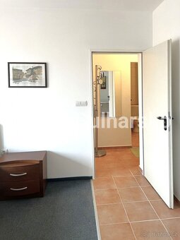 Plně zařízené studio (1+kk, 46 m²) s balkonem AHELOY - 10