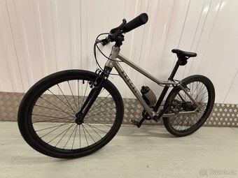 Dětské kolo Rascal 24, Titanium - 10