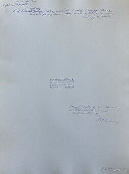 Fotografie Irena Bluhová (1904-1991) - 10