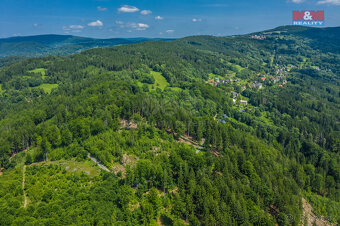 Prodej lesa, 6085 m², Tanvald - 10