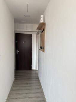 Pronájem nadstandartně vybaveného bytu 1+1 Jirkov - 10