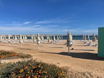 1loznicovy apartmany Sahl Hasheesh Egypt - 10