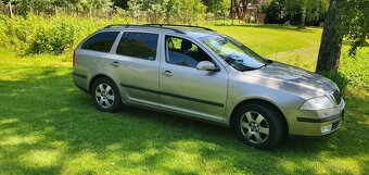 Skoda 1.9tdi 77kw - 10