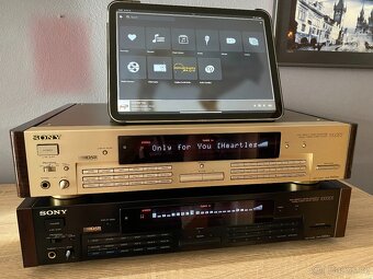 Sony DAR-1000ES - verze 2.1 CHAMPAGNE/BLACK - 10