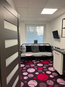 Pronájem samostatného pokoje v Holicích - 10