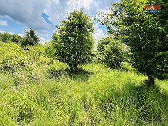 Prodej pozemku, 1026 m², Veselí nad Moravou - 10