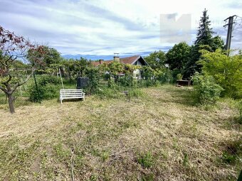 Prodej, Pozemky, Vinný sklep, Ubytování, 528 m2 - Mikulov - 10