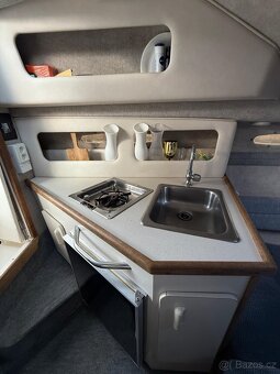 Sea Ray sundancer 230 - 10