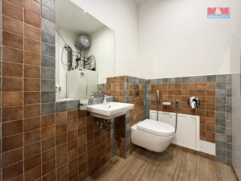 Prodej rodinného domu, 165 m², Drmoul - 10