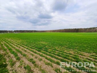Prodej pozemků o celkové rozloze 27281 m² - 10