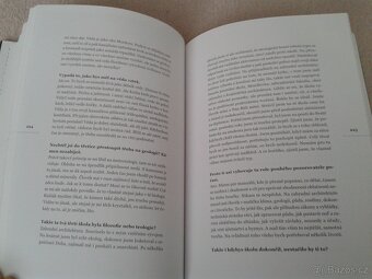 Aleš Palán - Robinsoni a Donkichoti - 10