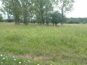 Pozemek u jezera Pístník, přes 1,8 ha, blízko dálnice D8... - 10
